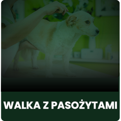 Artykuły przeciw pchłom i kleszczom